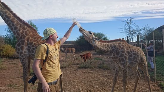 Oudtshoorn auf eine Straussenfarm