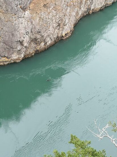 Tag 4 - Fahrt nach Vancouver (Kanada)
Deception Pass Bridge in Fidalgo Island