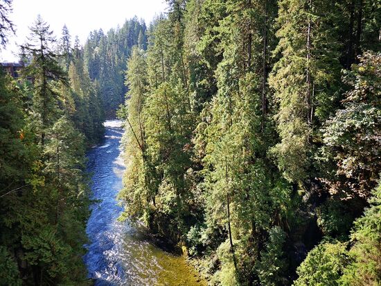 Vancouver – Capilano Suspension Bridge Park.