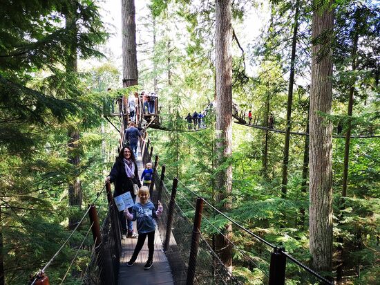 Vancouver – Capilano Suspension Bridge Park.