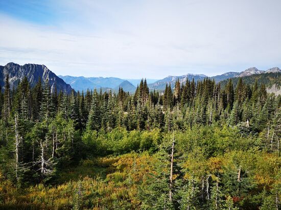 Mt.Rainier NP