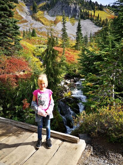 Mt. Rainier, 4th Crossing Trail