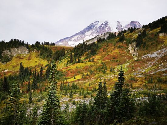 Mt. Rainier, 4th Crossing Trail