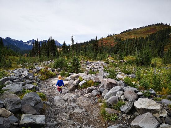 Mt. Rainier, 4th Crossing Trail