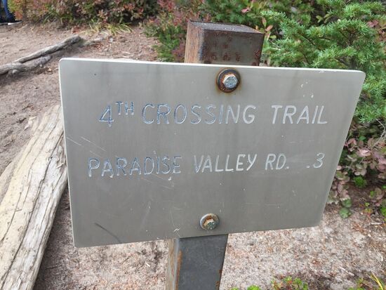 Mt. Rainier, 4th Crossing Trail