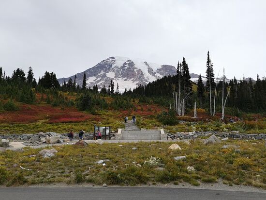 Mt. Rainier