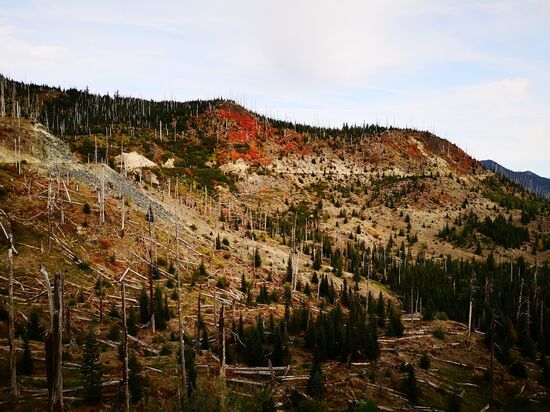 Mount St. Helens