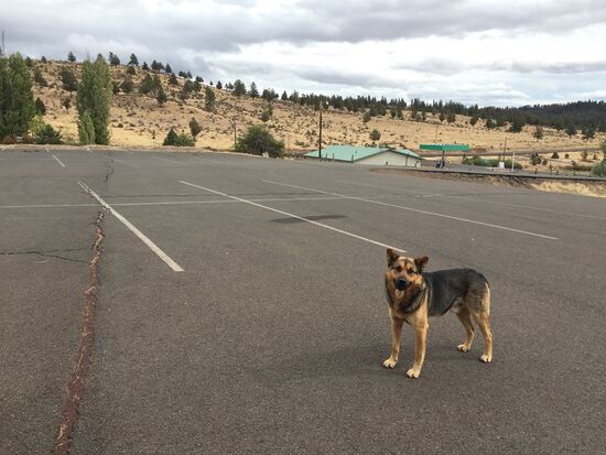 Warm Springs Indian Reservation