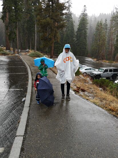 Sequoia Nationalpark