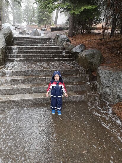 Sequoia Nationalpark