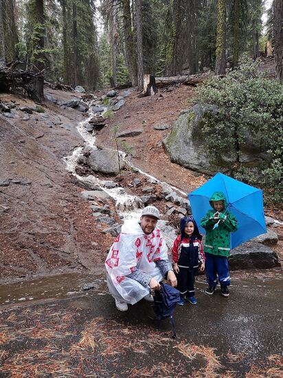 Sequoia Nationalpark