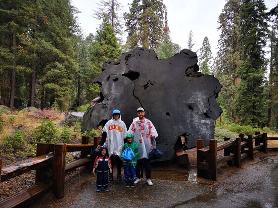 Sequoia Nationalpark