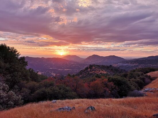 Sequoia Nationalpark, General Sherman