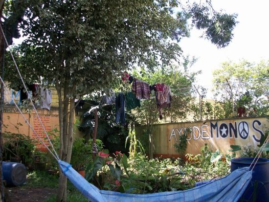 der garten (leider nicht zu sehen ist ein grosser baum in der mitte mit baumhaus und schaukel)