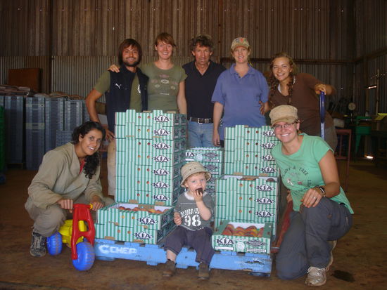Das Fruitpicking-Team (v. links):
Tammy, David, Susi, Bill der Farmer, Sohn Tristan, Kate Farmersfrau, Sophie und Claudia