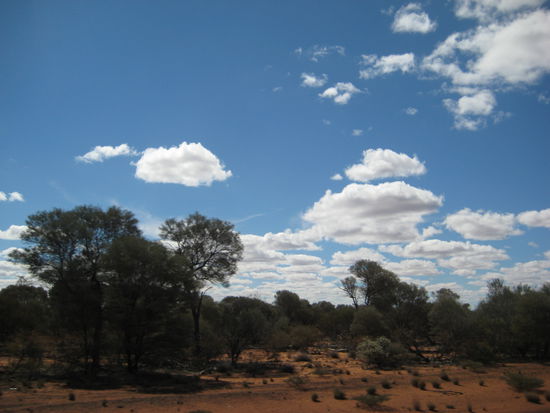 Typical view in down under.