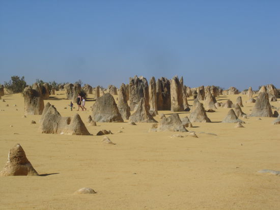 Die Pinnacles in Cervantes
Die Pinnacles sind eigenartig geformte Kalksteinsaeulen die vor 50.000 bis 500.000 Jahren auf einer Wanderduene entstanden sind. Bis heute ist es umstritten wie und wann diese entstanden sein koennten.