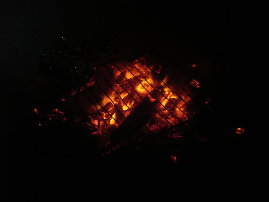 Den am morgen gefangenen Fisch haben wir zusammen mit Kartoffeln ueberm Lagerfeuer gegrillt.
Es war so lecker, auch wenn es beim essen ziemlich oft geknackt hat. Wir haben den Sand einfach mitessen muessen!!!