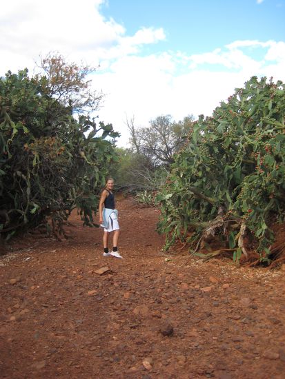 Joggen im Busch...
Nach 10 Stunden harter Arbeit waren wir oft noch joggen und zwar im Outback.
Den Weg vom Feld bis hin zum Haus legten wir in ca. 45 Minuten zurueck.