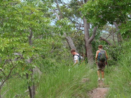 Wandern im Regenwald. 
Auf Magnetic Island.