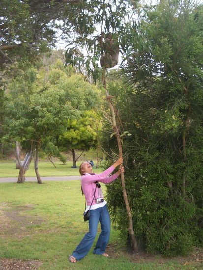 ...sie koenne den Koala einfach mal runterschuetteln...