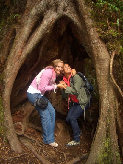 Hohle Baemume...wir hatten ja ein bisschen Angst vor Spinnen und Schlangen!