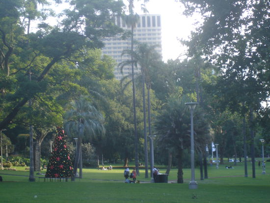 Oh Tannenbauuuuuum....