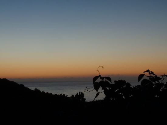 Die Morgendaemmerung.