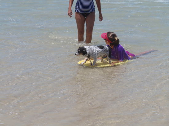 SURFERS PARADISE!
Auch die Vierbeiner wissen was gut ist!