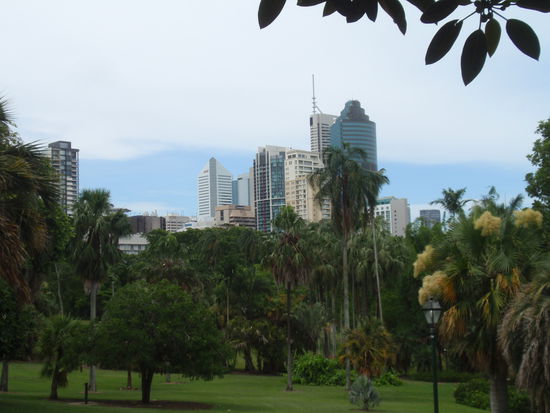 Sicht auf die Skyline vom Botanischen Garten aus.