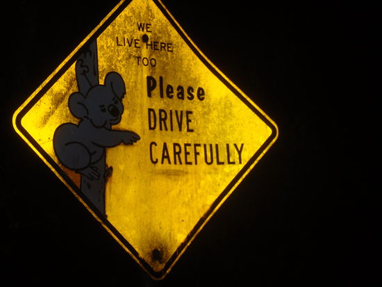 Und diese Schilder begleiten uns von nun an. Aber wo sind die denn nur alle...? 