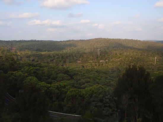 Irgendwo zwischen Brisbane und Airlie Beach. Gruen soweit das Auge reicht.