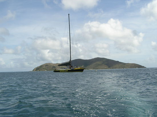 Die Apollo! Der Gewinner auf der Regatta im Hafen Sydneys im letzten Jahr.
Hier fanden 25 Personen Platz. Die Crew bestand aus dem Captain und drei Jungs die segelten, kochten, mit uns tauchten und ueberhaupt fuer Stimmung und Ordnung sorgten.