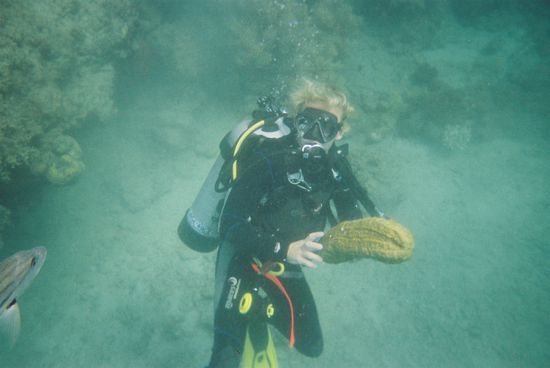 Unser Tauchlehrer mit einer Unterwassergurke!