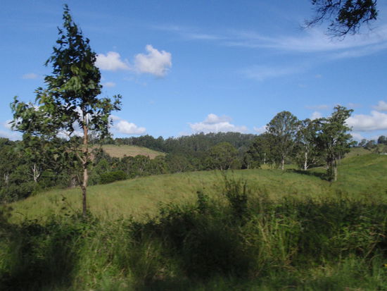 Ab-und-zu hatten wir auch strahlend blauen Himmel auf der Strecke!!!