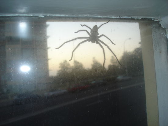 ...und andere Nachbaren!!!!