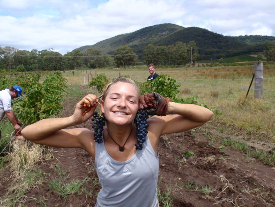 Manchmal darf man zwischendurch Spass haben bei der Arbeit, es kommt auf den Farmer an!!!
Hier auf der Farm bei den Draytons ging es jedenfalls lustig zu!