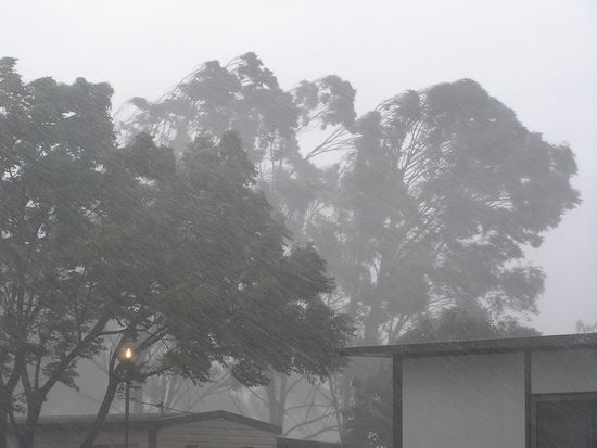 In der zweiten Woche hat es nur geregnet. Das war die Rettung fuer die Gebiete in denen es schlimme Buschbraende gab. Besonders betroffen war die Gegend um Melbourne herum mit knapp 200 Toten.
Wir aber konnten mit diesem sturmartigen Regen nichts anfangen und langweilten uns. Es gab in diesen Tagen naemlich auch keine Arbeit. Es ist schlecht fuer Trauben, wenn sie nass gepflueckt werden.