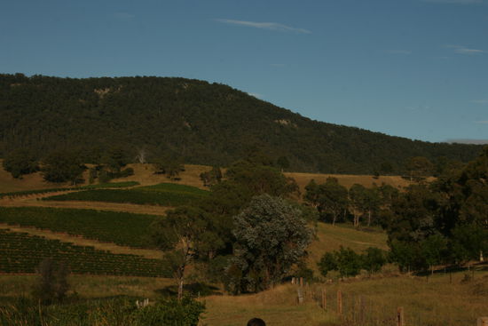 Hunter Valley - Just beautiful!