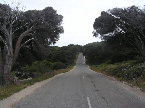 ...durch schaurig-schoene Waelder hindurch...