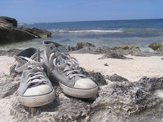 ...auch Sophies Chucks fanden ein Plaetzchen in der Sonne...