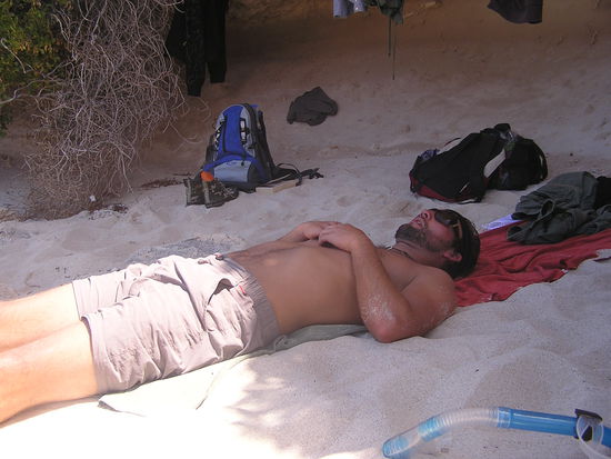 Tom schlaeft...mal wieder...