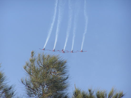 Flugshow