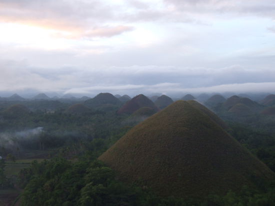 Die wundersamen Hügel so an die 1000 haben einen äußerst süßen Namen - choclate hills - die Schokoladenhügel.