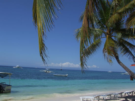 Der Strand - zu dieser Tageszeit noch nicht grün aufgrund von Seegrasschlamm. Im Wasser wimmelt es von Seeigeln und Seesternen.