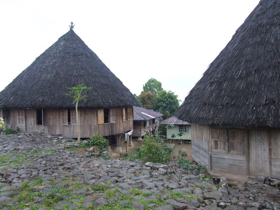 traditionelle Adat Häuser in Ruteng