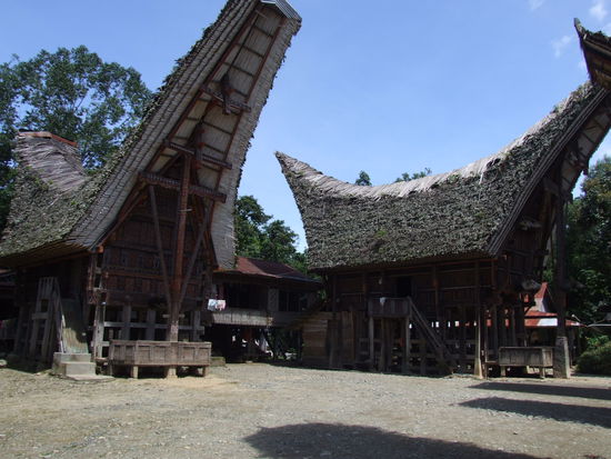 Tongkonan`s