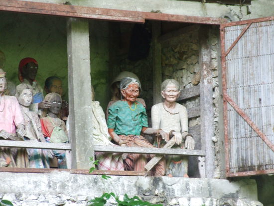 alle Tau Tau`s sind in Lebensgröße geschnitzt. Die Tau Tau`s mit einfachen Gesichtszügen sind sehr alt, da es früher keine Fotos von den Verstorbenen gab