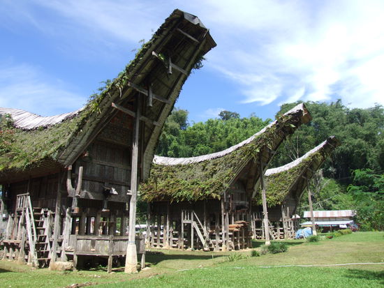 wunderschöne Tongkonans in Lemo