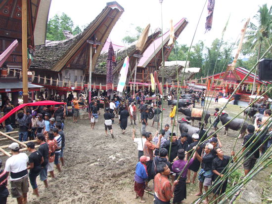 Start der Prozession. Der Sarg von geschätzten 30 Personen getragen im temporären Haus wurde immer wieder hoch gestemmt, um die bösen Geister zu vertreiben